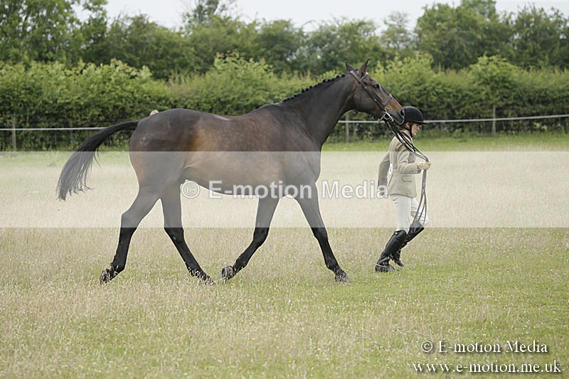 B230619-0780 - Bourne Valley Riding Club Summer Show 23/06/19