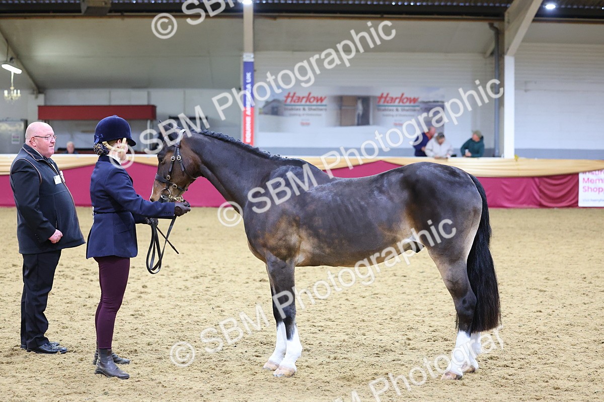 SBM_19535 - Class 901 - Supreme Final - IH Diamond