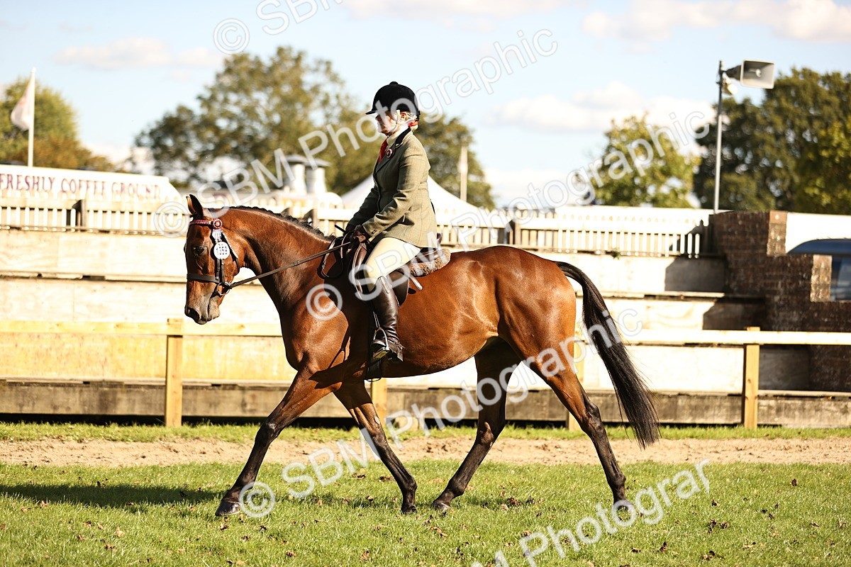 SBM_26448 - S6 - Novice & Newcomers Ridden Horse