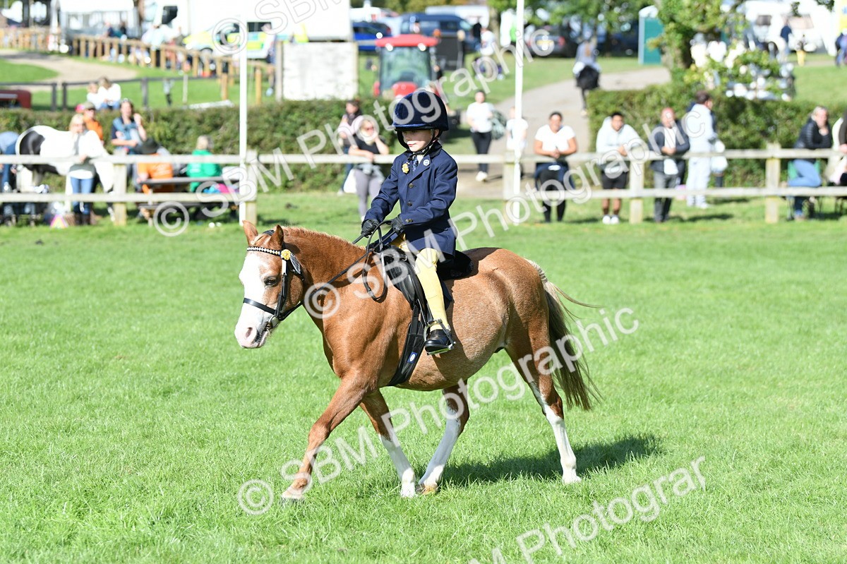 SBM_50352 - S21 - Novice & Newcomers 1st Ridden Pony