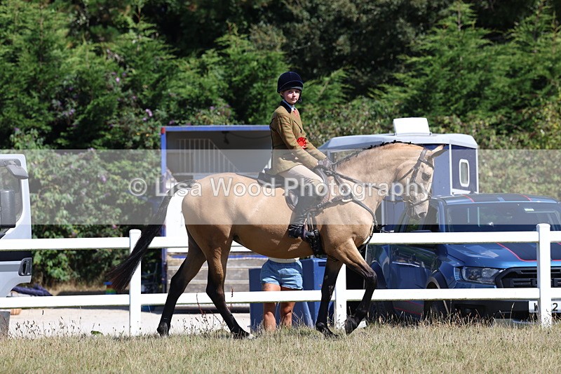 3E7A6337 - Working Hunter Championship
