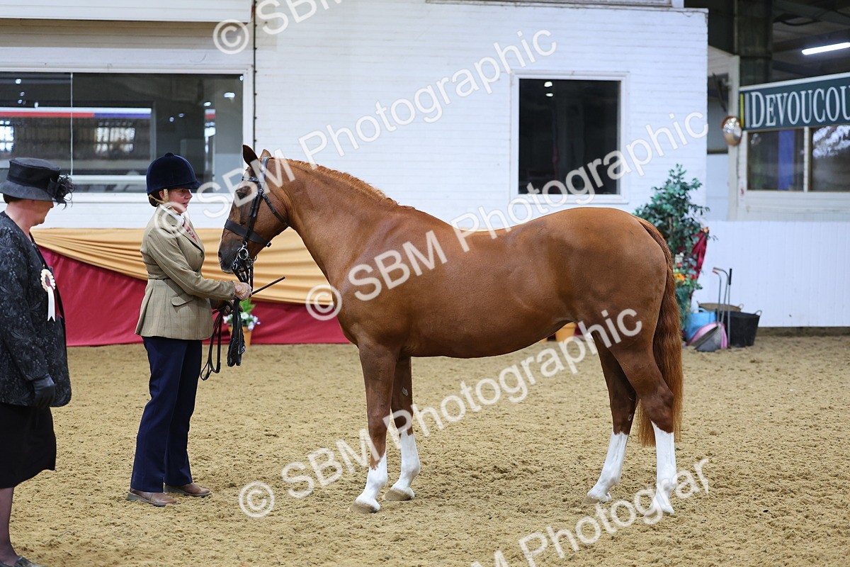 SBM_19447 - Class 901 - Supreme Final - IH Diamond