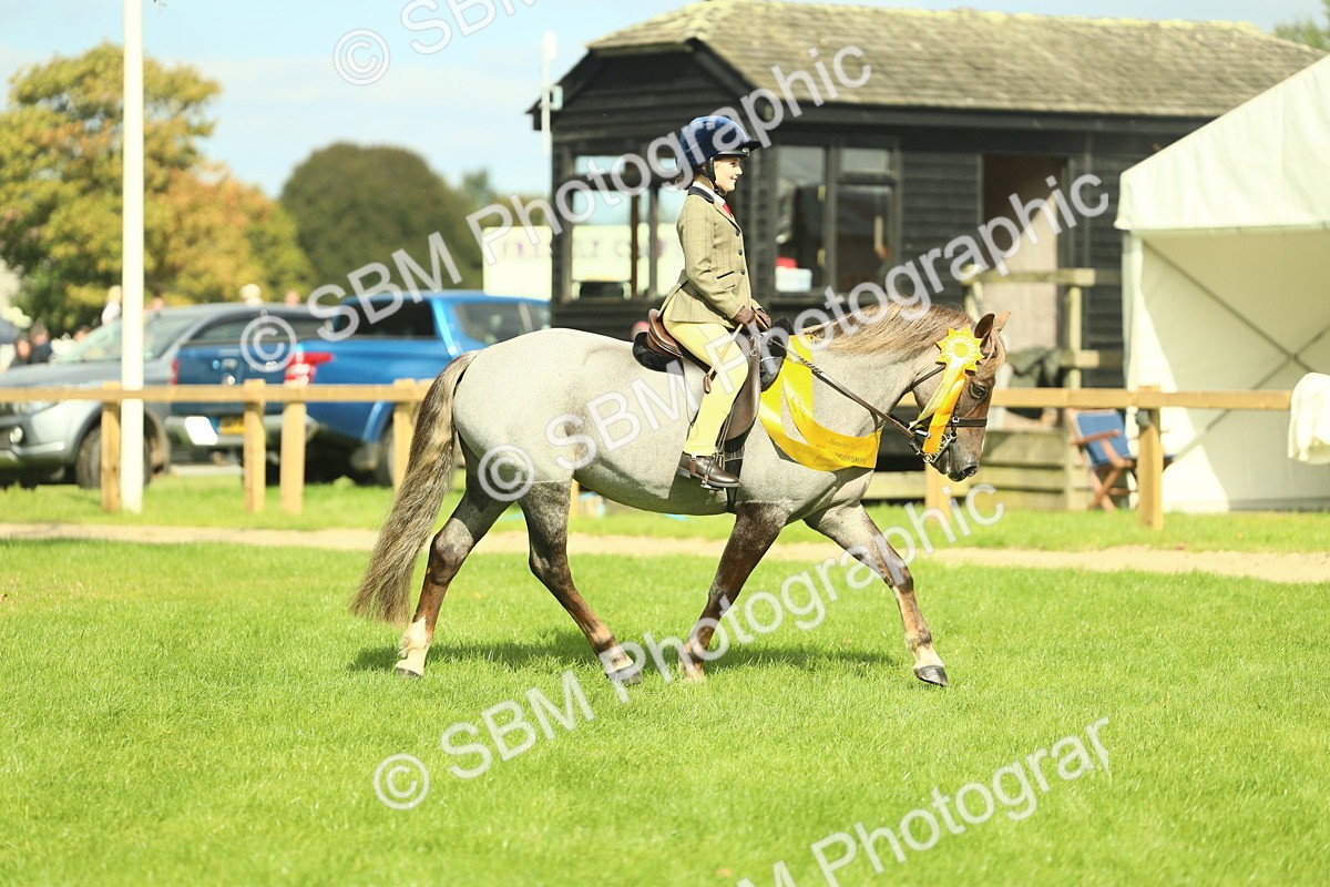 SBM_44892 - Working Hunter Pony Supreme Championship