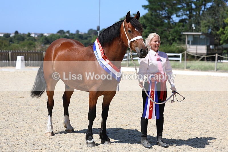 3E7A9955 - In Hand Championship