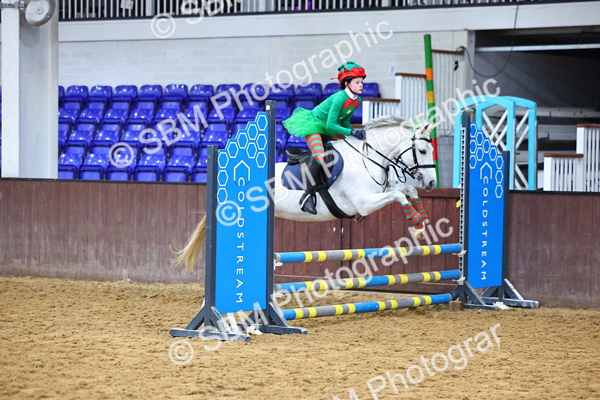 SBM_001382 - Class 3 - Christmas Tree Stakes - 60cm