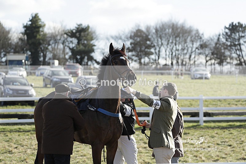 PtP 260223 1302 - South & West Wilts Point-to-Point Larkhill 26/02/23