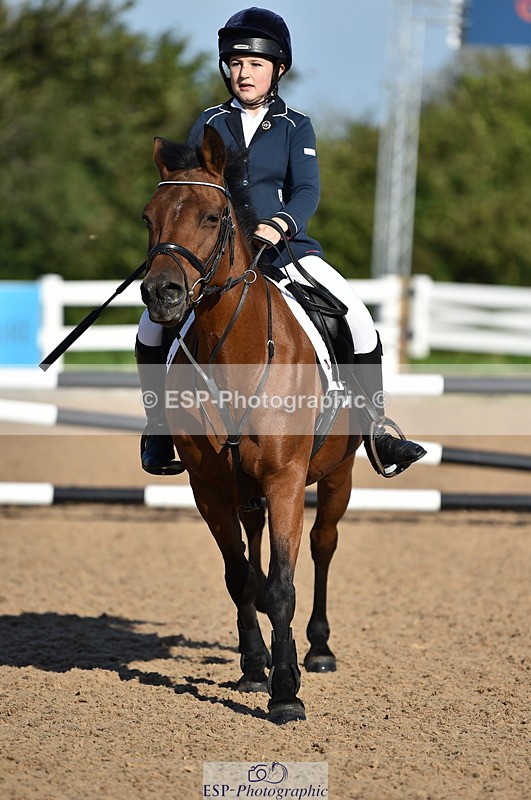 230903A-092248-03498 - Cls 17 Pony Intro 75cm