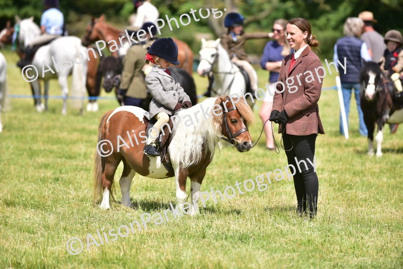 20260614-1231 - Class 11a - Lead Rein Pony (Unplaited)