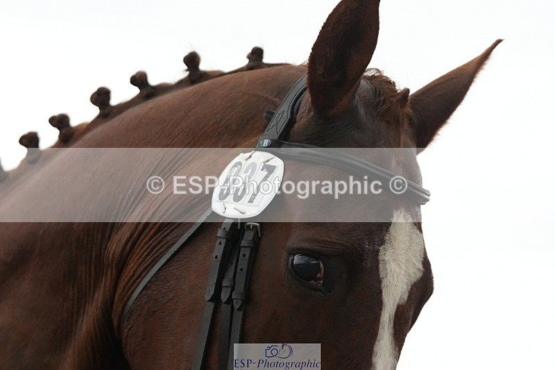 250907-081555-05401 - 037-Anna.PriceMajor.Flyer