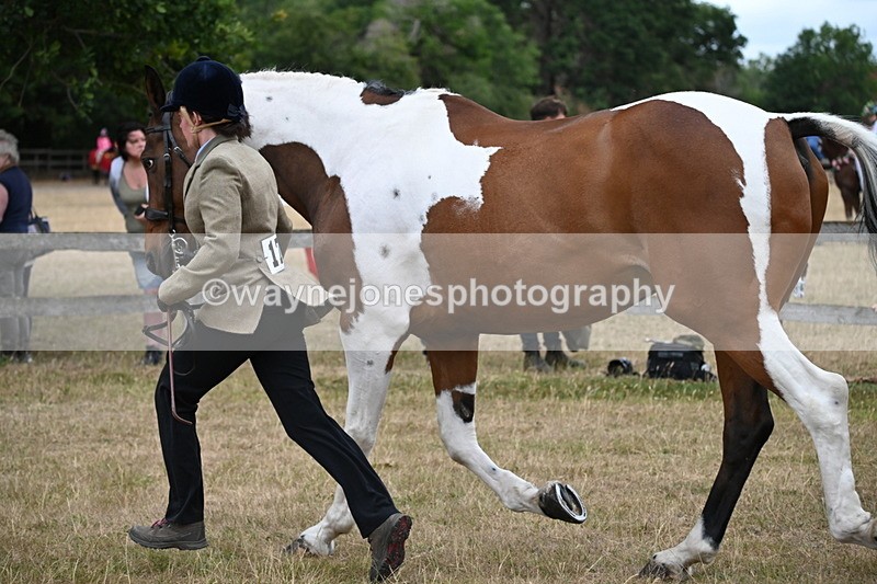 WJ6_8148 - Class 10 Coloured in Hand