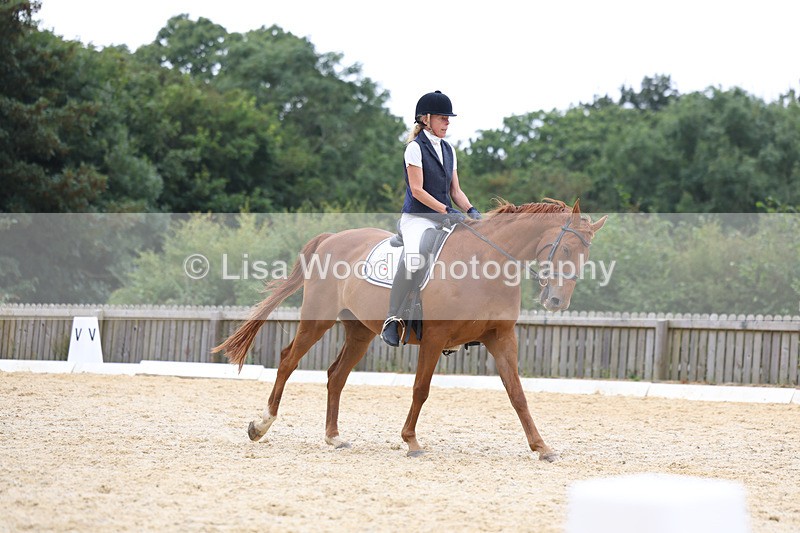 3E7A7443 - Class 9: Elementary 4 2024 - No sections