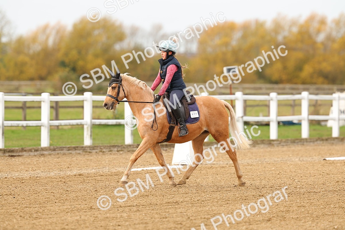 SBM_000231 - Class 2-11 - CT Intro 3 60cm - DR Intro 3
