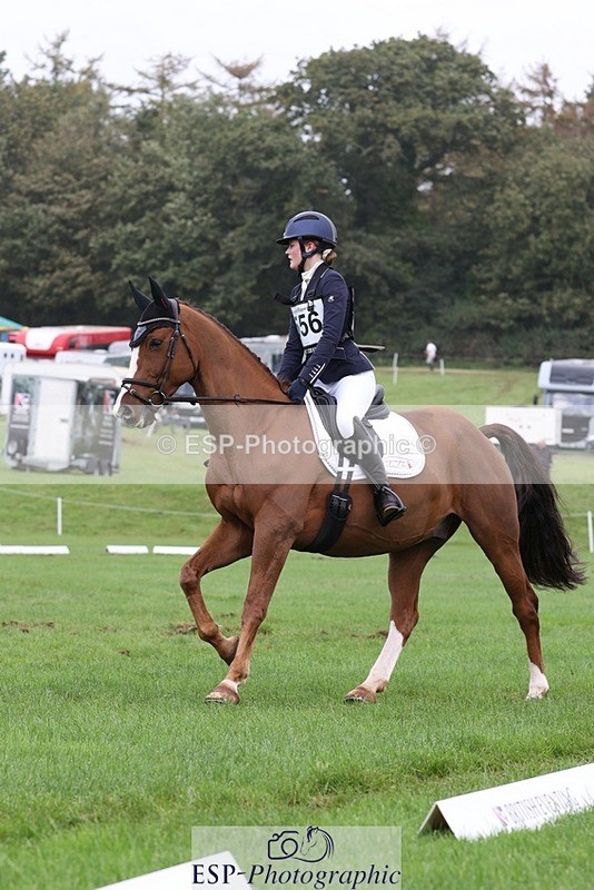 231019-153803-04961 - 556-SHANNONDALE.MOCHA-Lucy.Davies-DR