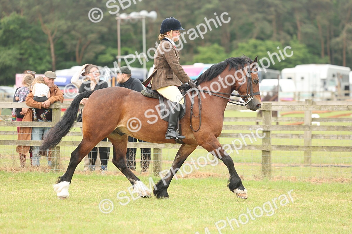 SBM_07282 - Class 76-77 - Ridden M&M Welsh Ponies