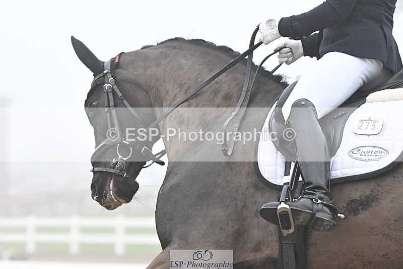 240217A-104203-01444 - 275-Lucy.Pye-La.Vida.loca