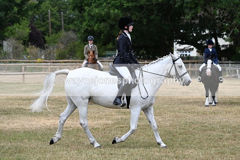 WJ7_0595 - Class 2 Best rider