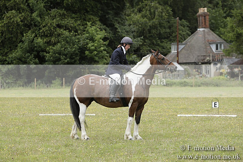 BVR160717-1389 - Class 3 Dressage 16/07/17