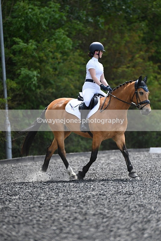 WJ5_0981 - Time 13:45 to 14:20