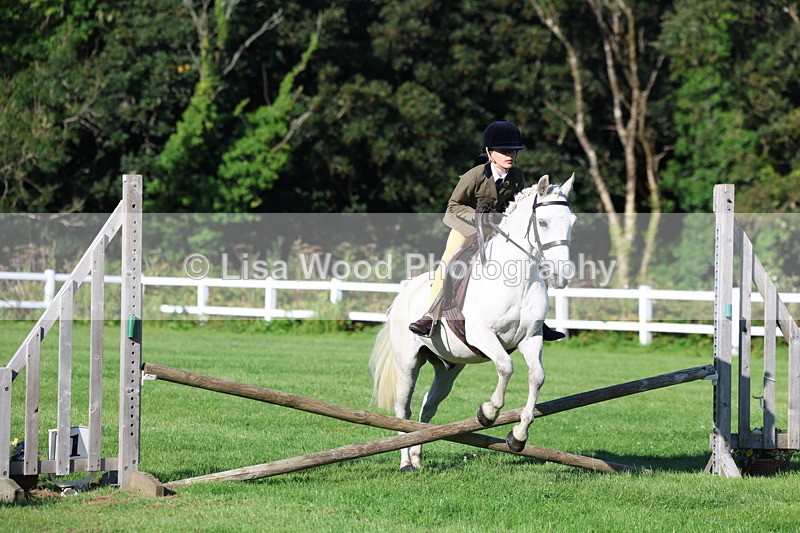3E7A7499 - Class 1: Novice Working Hunter Pony
