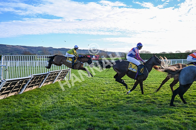 141224-Race 1-Ambiente Amigo-0341 - Race 1