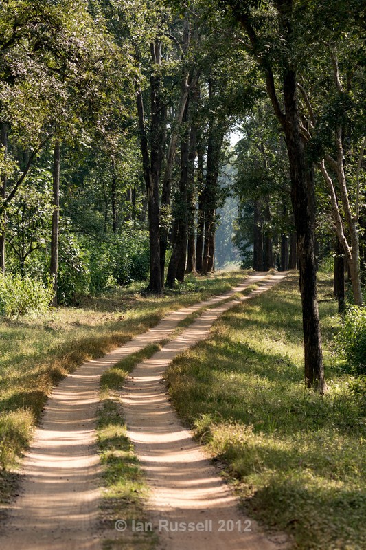  - Indian Safari 2017