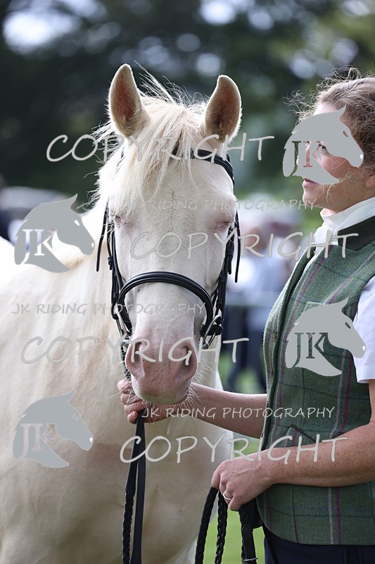 APP_2967 - Class 10a/b M&M in hand