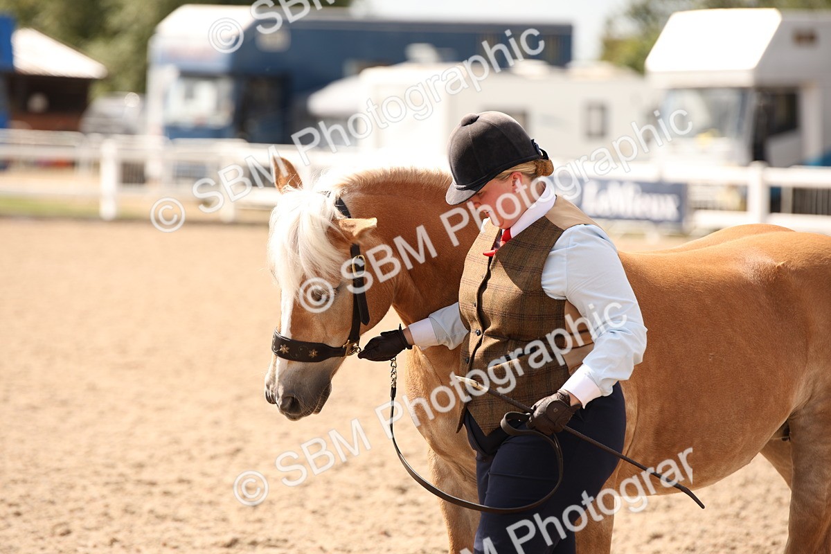 SBM_04604 - Class 20 IH Veteran