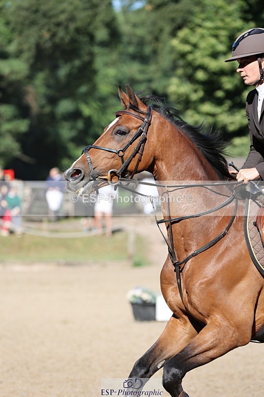 250703A-085100-00134 - Cls 5 85cm Amateur Qualifier