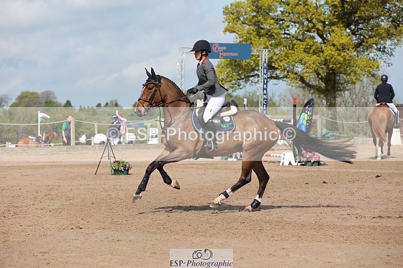 250427-110018-15745 - Cls 36 Young Horse 7yr old