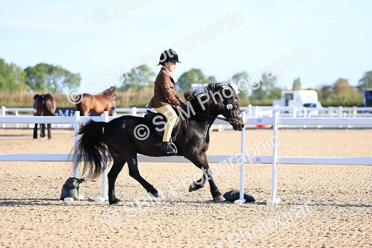 SBM_07803 - Class 301 - Ridden M&M - Small Breeds