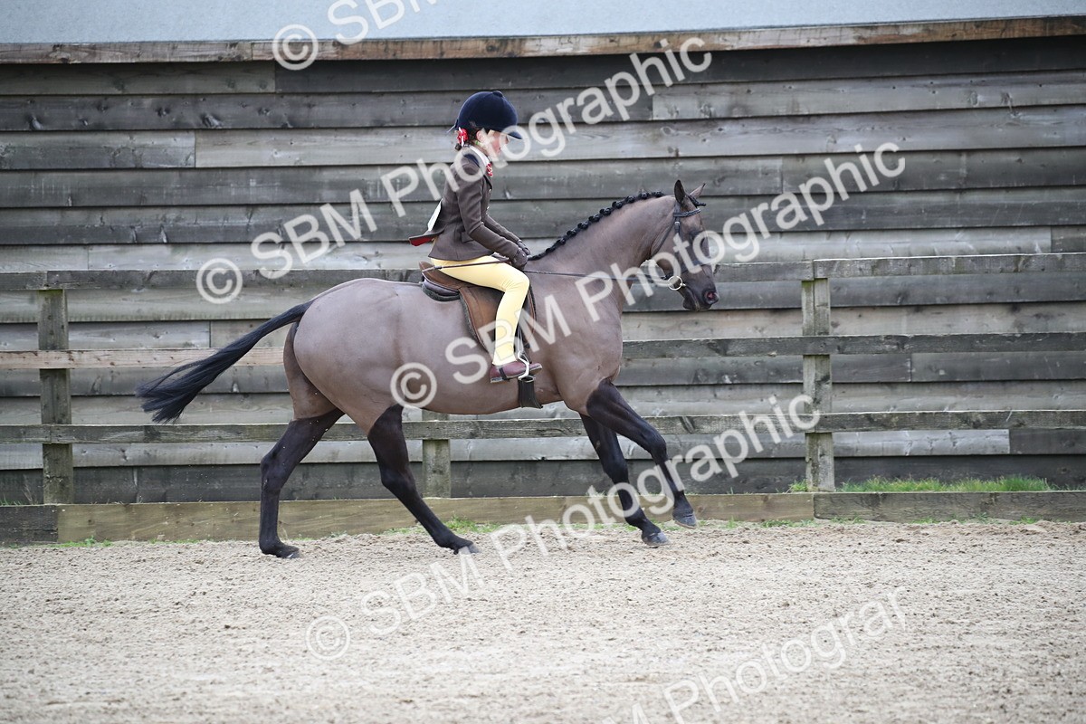 SBM_004621 - Class 5-9 - NPS In Hand-Show Hunter-Intermediate Ridden Inc Ridden Championship