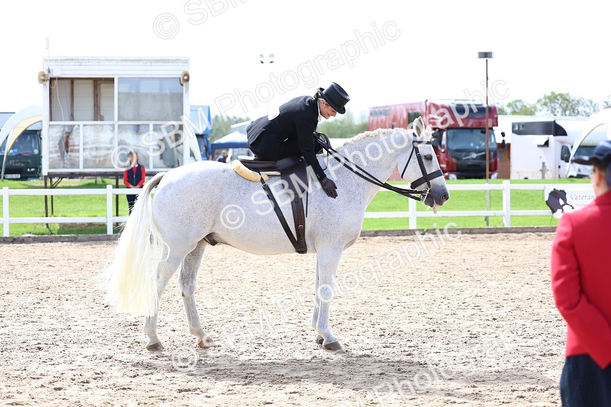 SBM_03258 - Class 22 - SSA Equitation (any age)