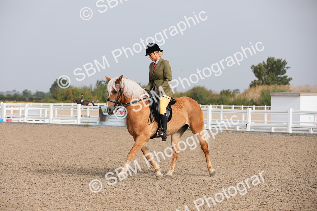 SBM_10715 - Class 303 Ridden Pure Bred Horse/Pony (excl M&M)