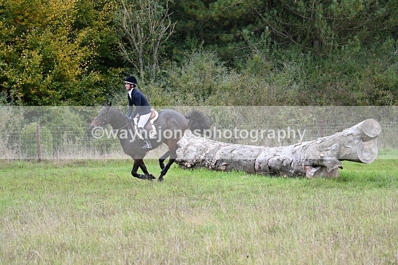 WJ7_3857 - Camera 1 Line 1