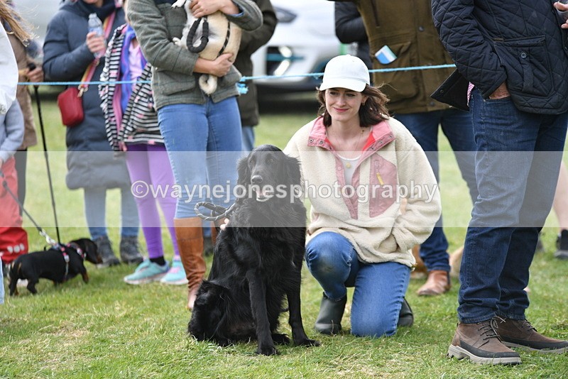 WJ5_0138 - Class 5 Best Veteran / 7 years & over