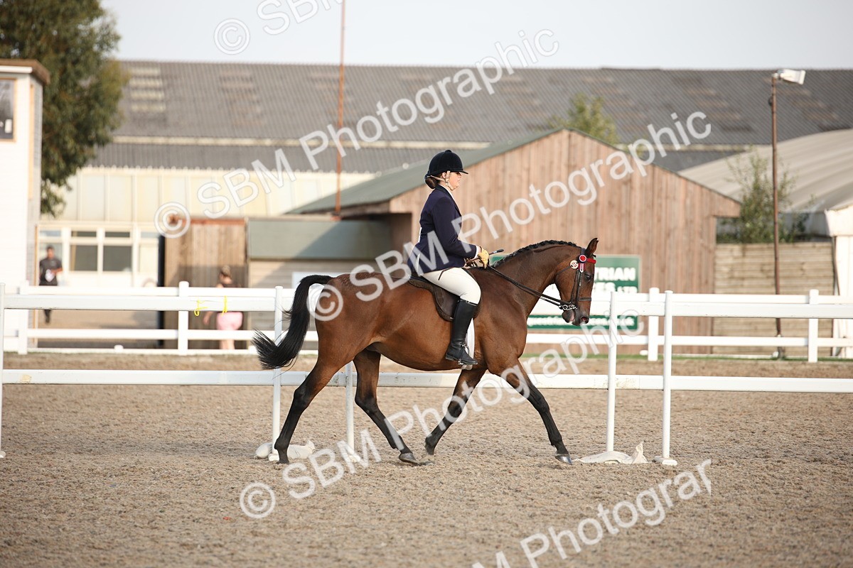 SBM_09193 - Regional Ridden Champ