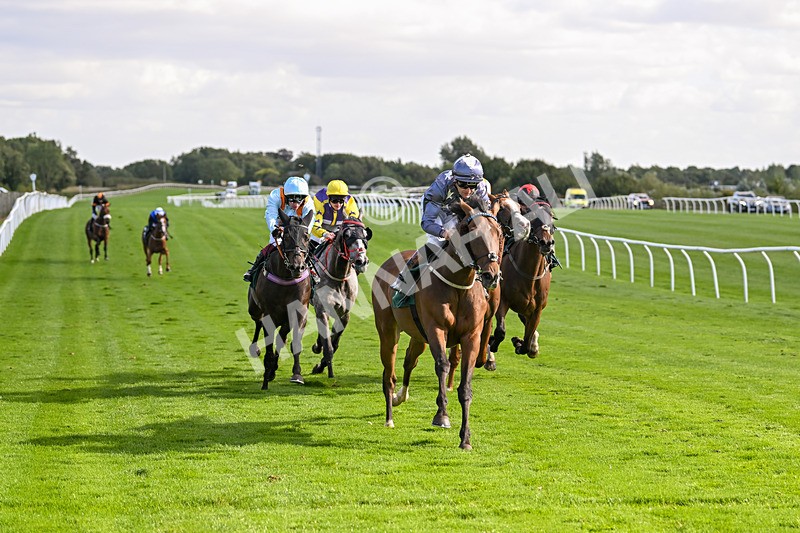 100924-Race 3-Laudable-0177 - Race 3