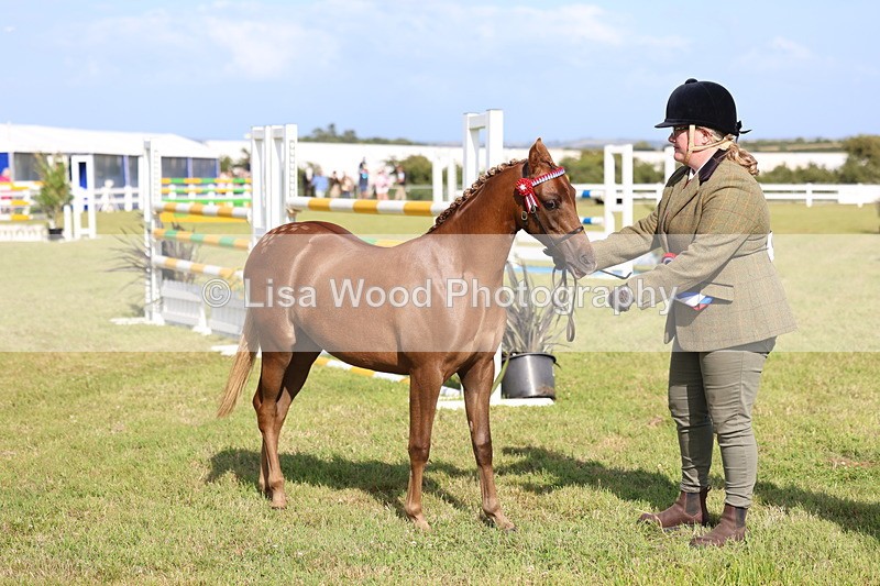 3E7A3889 - Supreme Championship