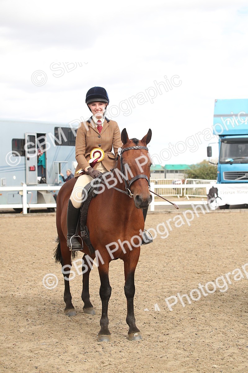 SBM_16563 - Class 506b - Working Veteran - 50cm (20+)