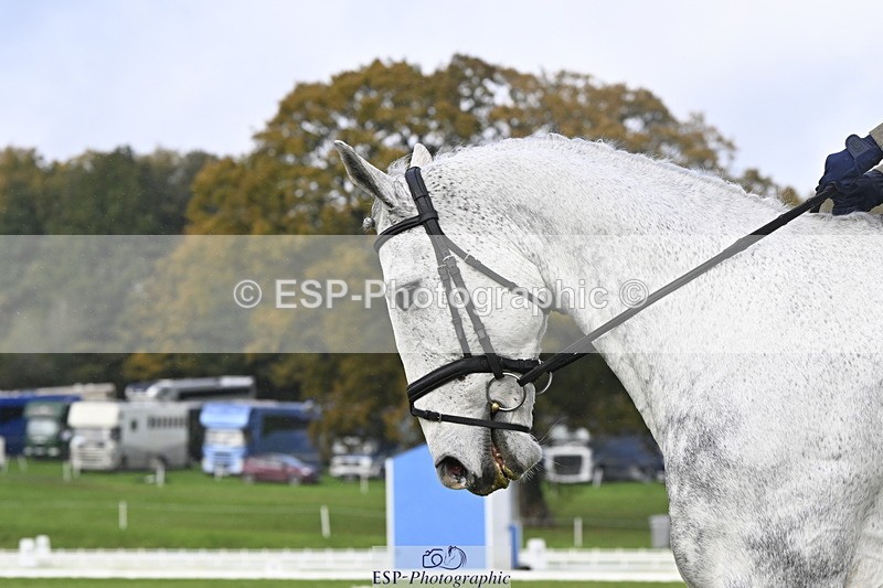 251023A-141256-04289 - D-329-Clementine.Montgomerie