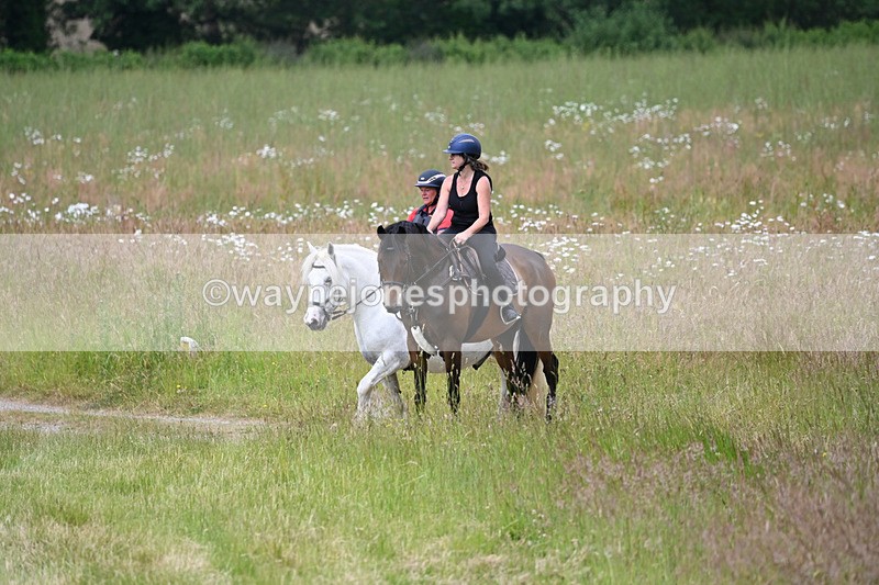 WJ6_8015 - Camera 1 Gallops