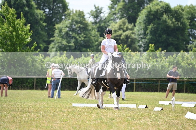 WJ6_6894 - Time 11:48 to 12:22