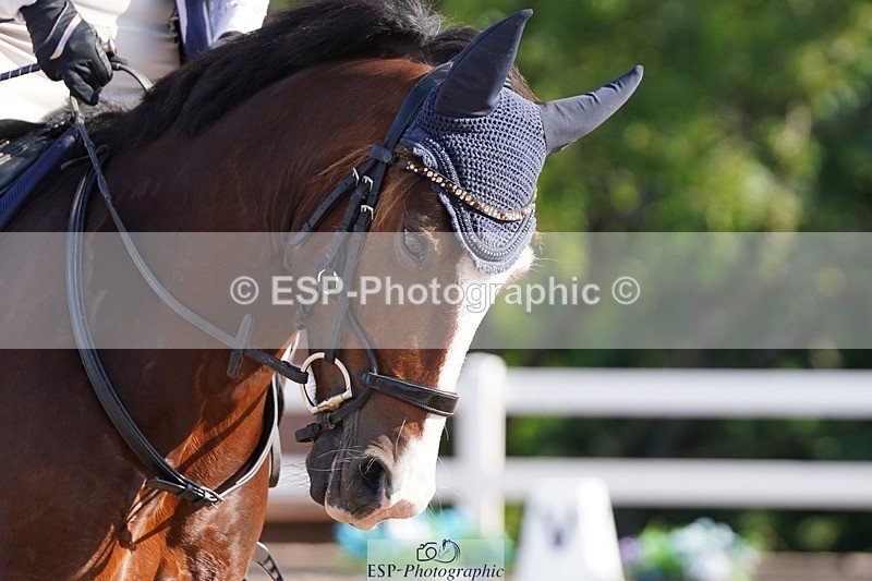 250622-082132-12959 - Cls 46 FreeStyle Prelim Inc Presentations