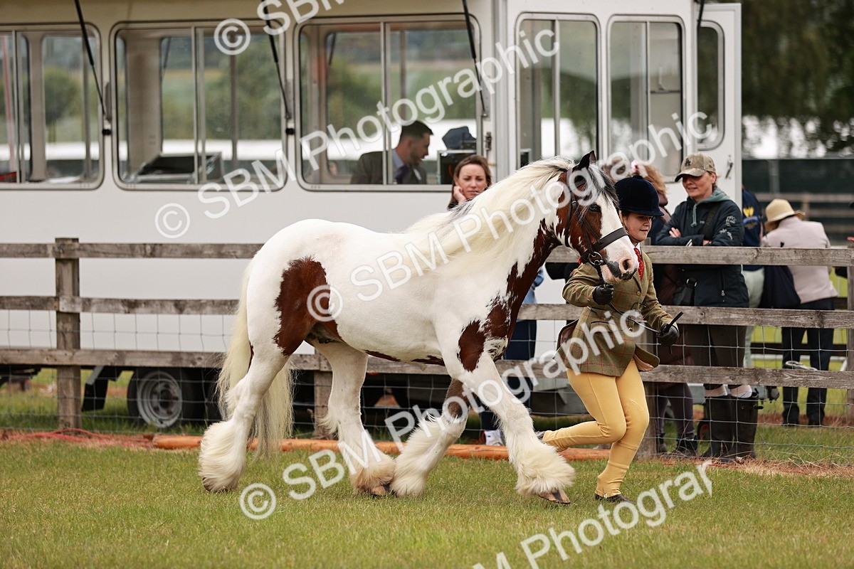 SBM_06036 - Class 39-41 TGCA In Hand and Ridden
