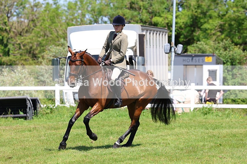 3E7A7220 - Class 30: Novice Working Hunter