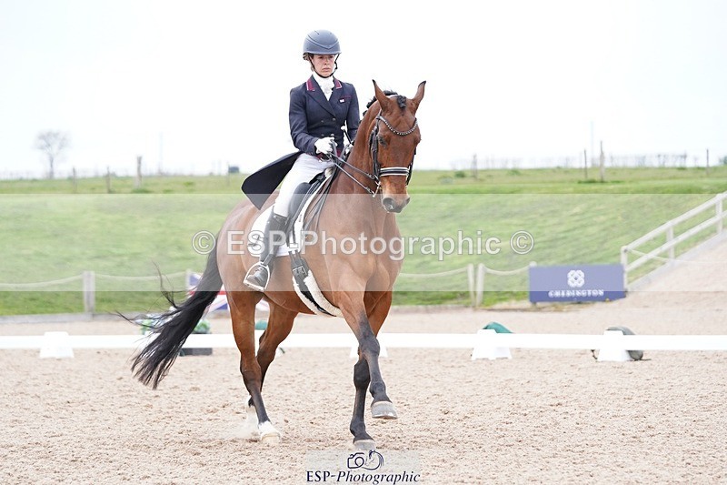 250403-161906-03284 - 028-Elizabeth.Allen-Heraldik