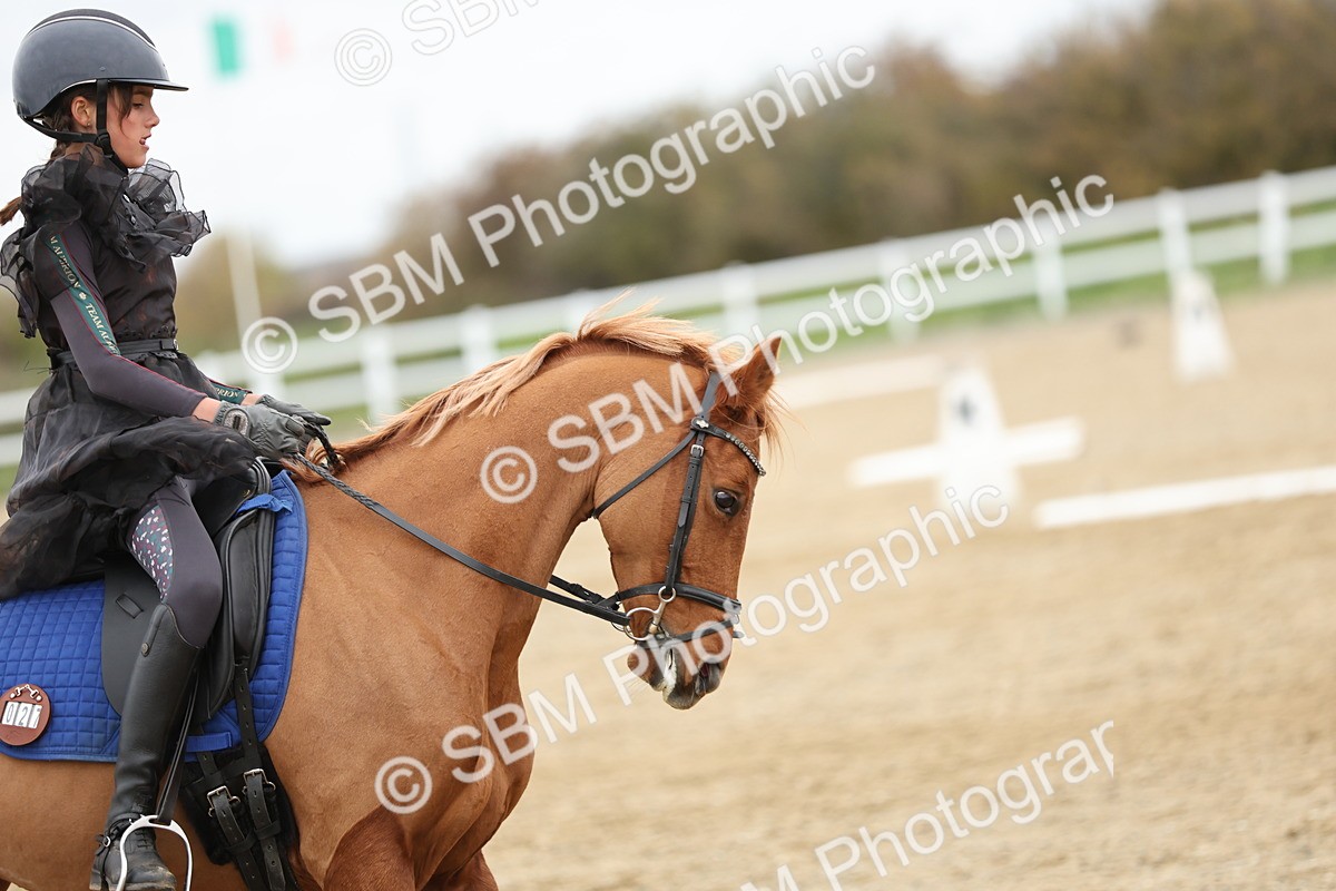 SBM_003870 - Class 9-12 - Novice 2 Elementary 3