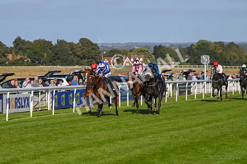 180924-Race 7-Fox Avatar-5210 - Race 7