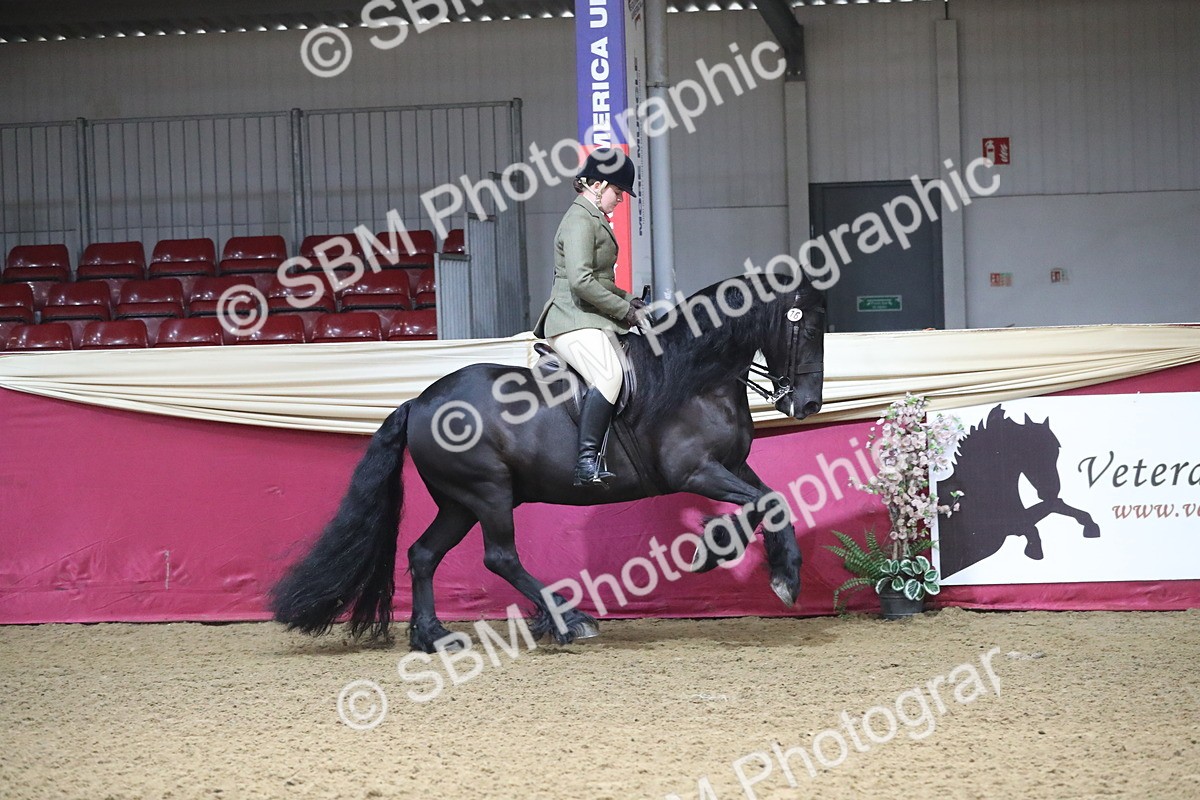 SBM_10392 - Class 102 Equitation (best rider) Adult