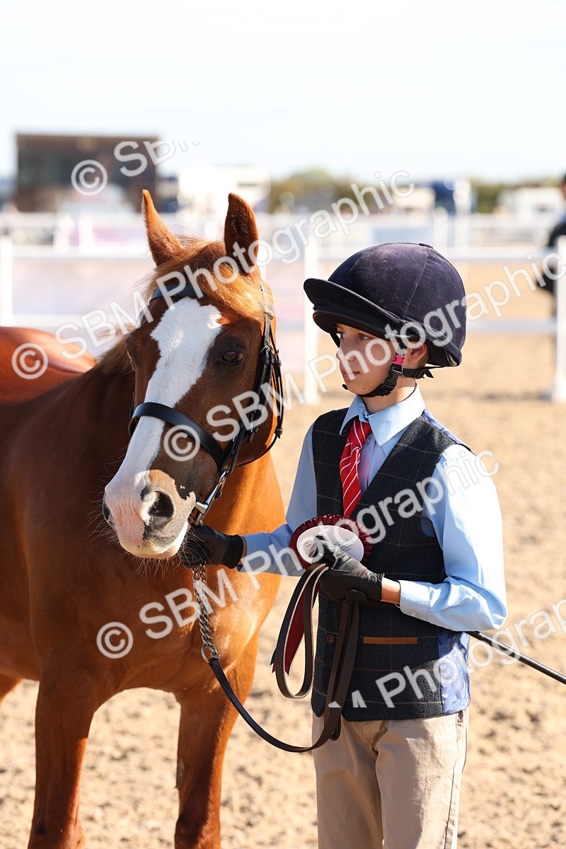 SBM_11702 - Class 203 - Young Handler 11 to 16 years